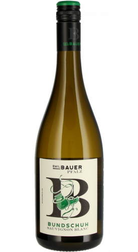 COLOMBARD-SAUVIGNON 2022 - DOMAINE HORGELUS