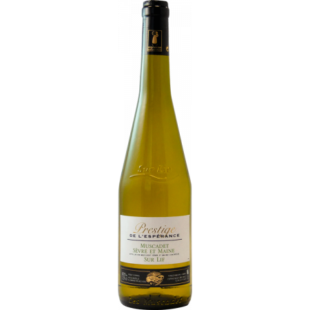 MUSCADET SEVRE ET MAINE SUR LIE 2022 - DOMAINE DE